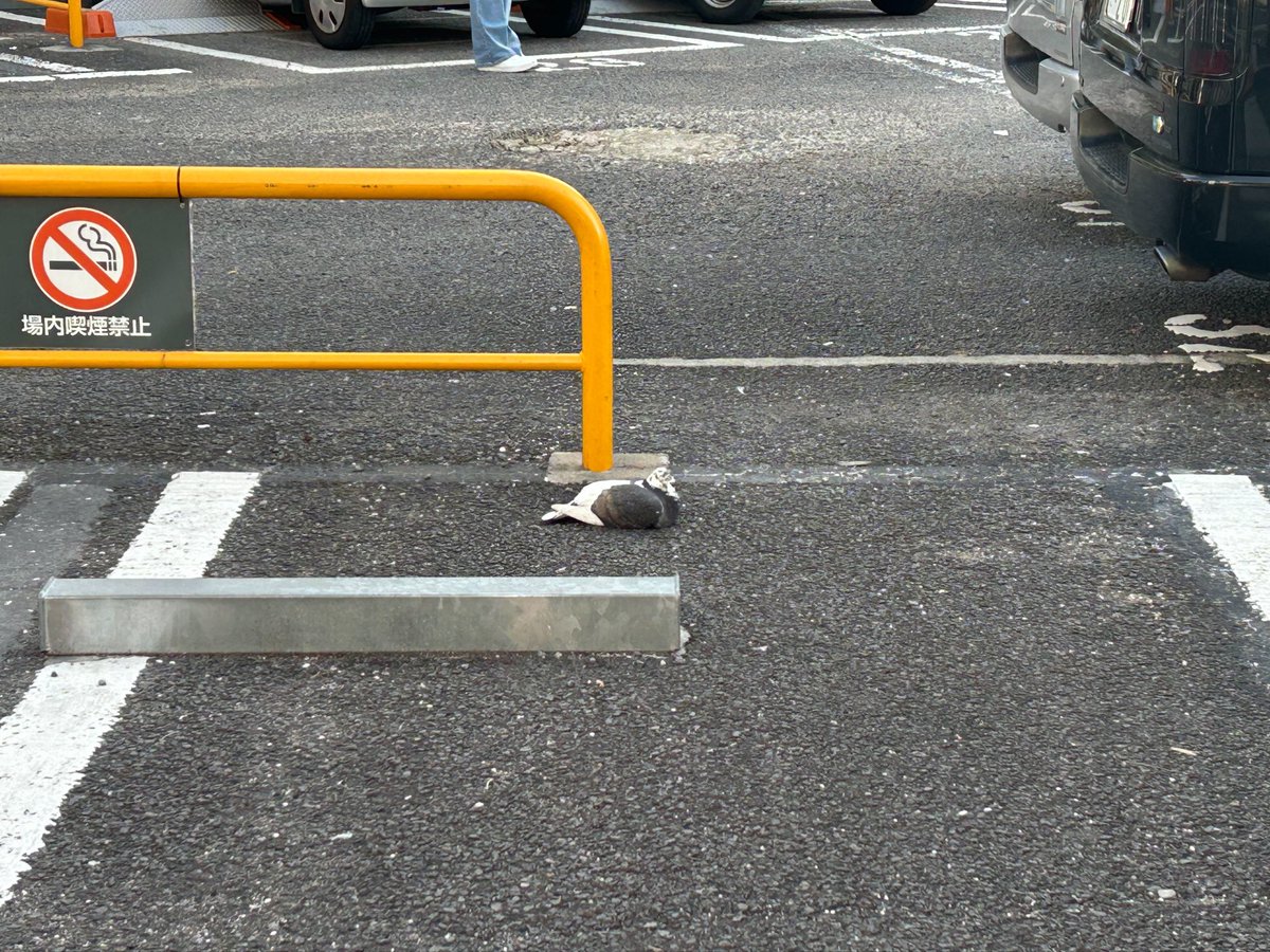 ふぇん tweet media