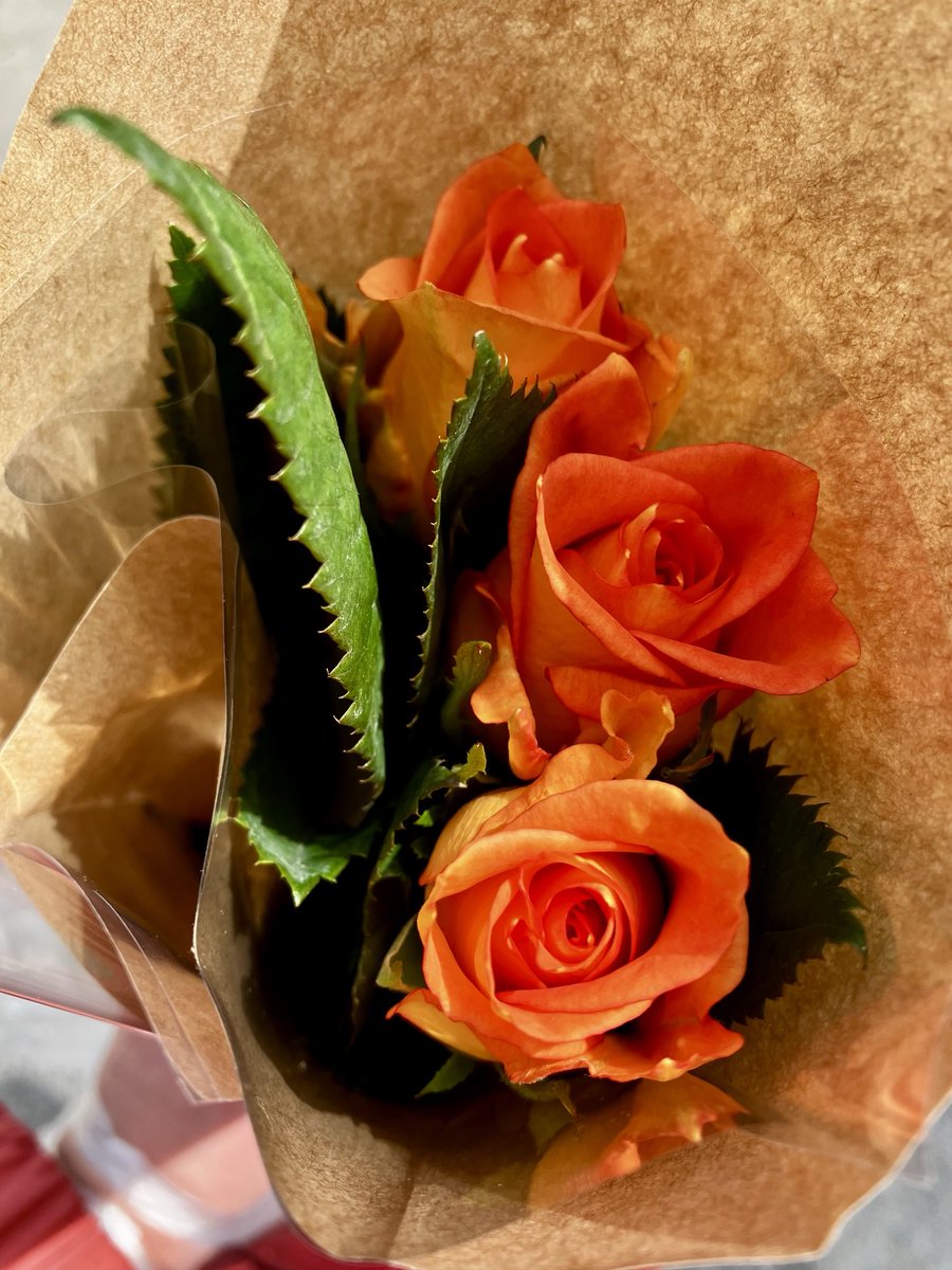 Mieko | 広報&デザイン勉強中🔰 tweet media