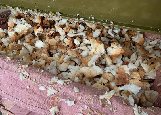 GreenMaxRecycle's tweet image. Unlocking the Value of Foam Waste with GREENMAX #Recycling Solutions

GREENMAX #foam hot melters, cold compactors, and crushers each contribute to the realization of this objective in distinct ways.

MORE: greenmax-machine.com/unlocking-the-…