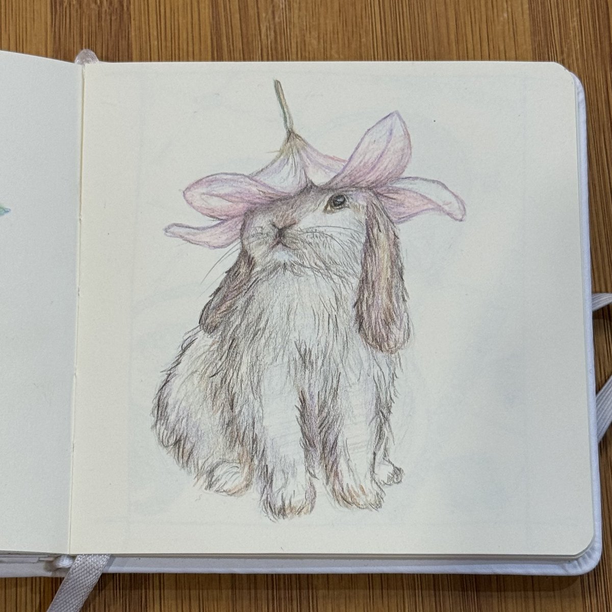Kiingisha's tweet image. Have a great weekend everyone 🤗 May you always have some kind of burdock to protect you from bad weather and any adversity 🥰❤️

#sketchart #drawing #rabbit #weekend