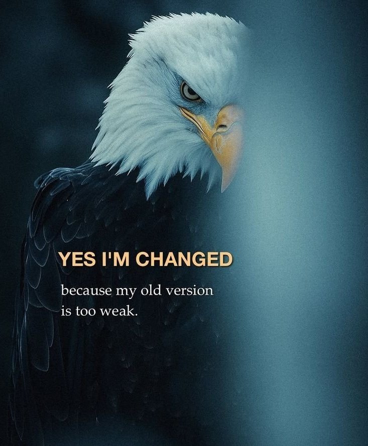 1__sadness__1's tweet image. 