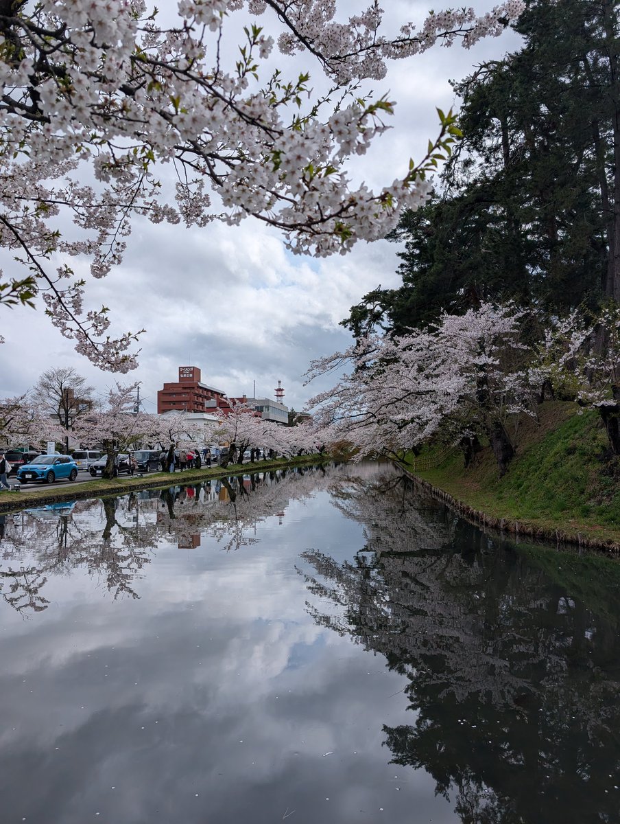 いろき tweet media