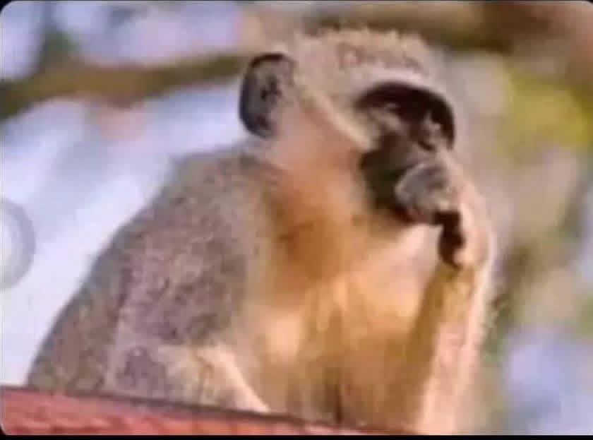 Luo Boy𝕏 🥶🇺🇬 tweet media