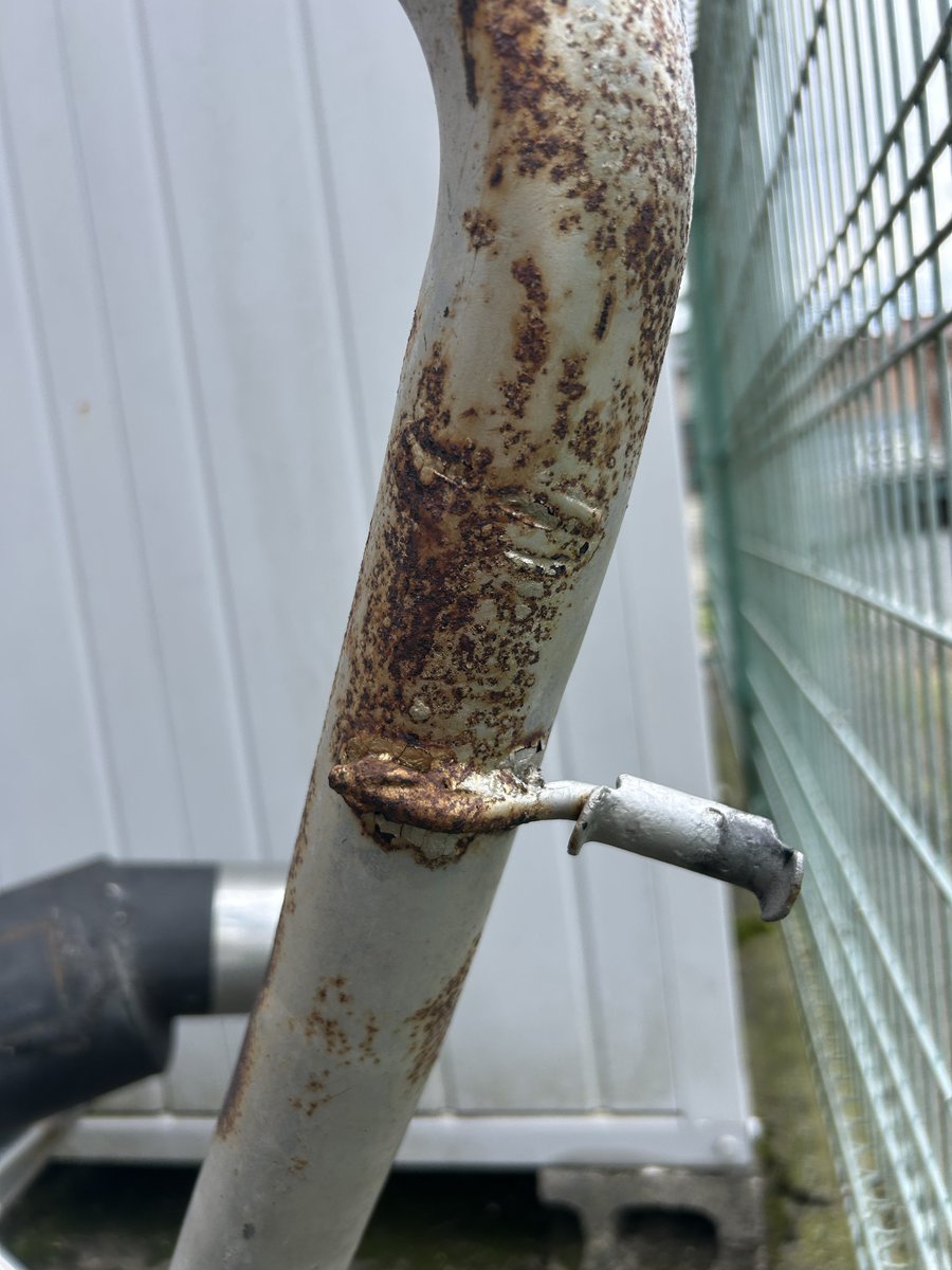 daisuke.GK tweet media