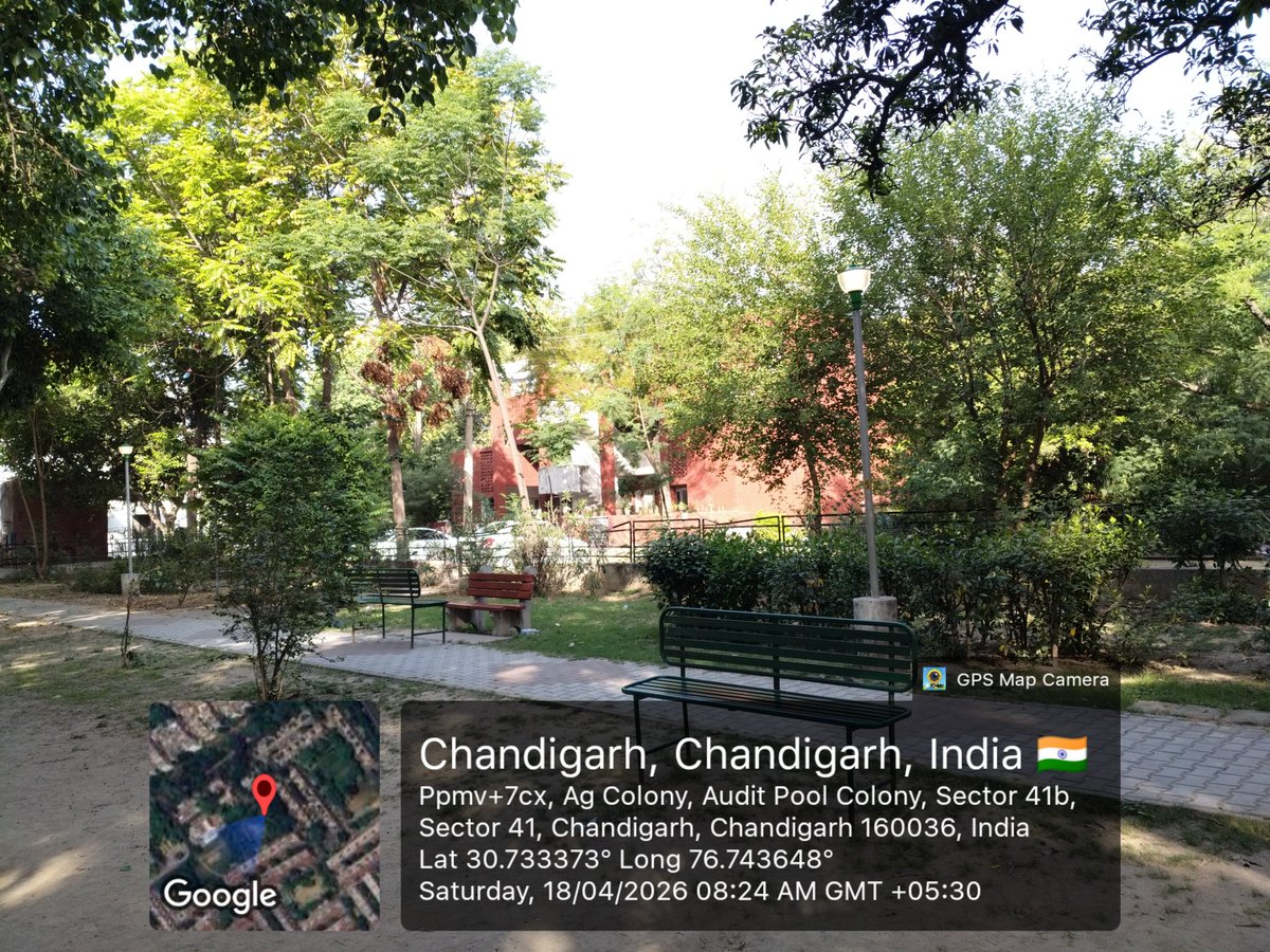 skyhere4u's tweet photo. @dc_chd @chandigarh_admn Chandigarh is brighter in daylight also. No one bothered to switch these lights off even in daylight. Proper duty may be assigned to reduce electricity bills. https://t.co/92yuDYw17d
