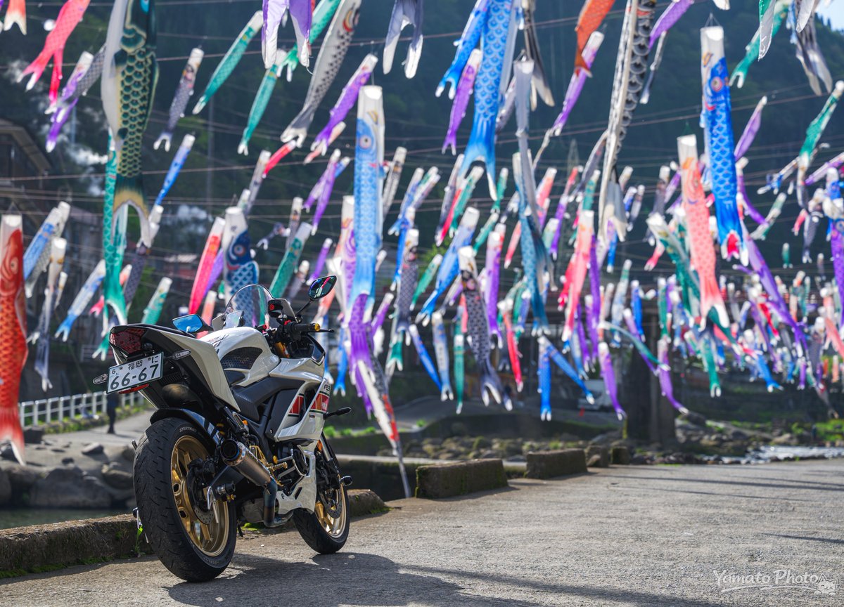 やまと tweet media