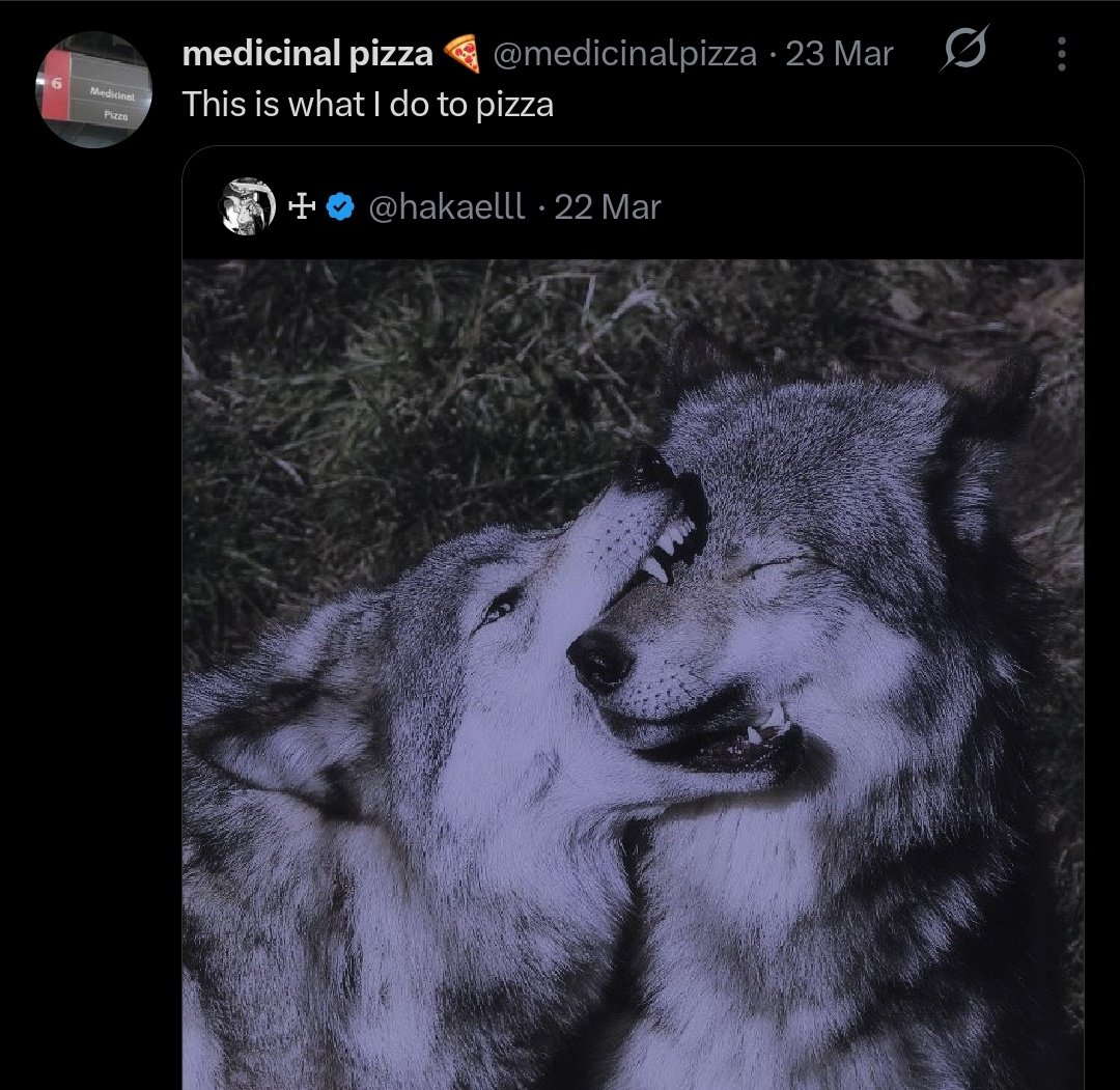 nicheloudpack73 tweet media