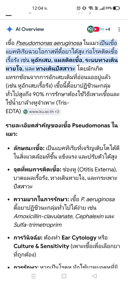 ไม่ควรมีแมวตัวไหนบนโลกใบนี้ต้องมาเป็นแมวจร tweet media