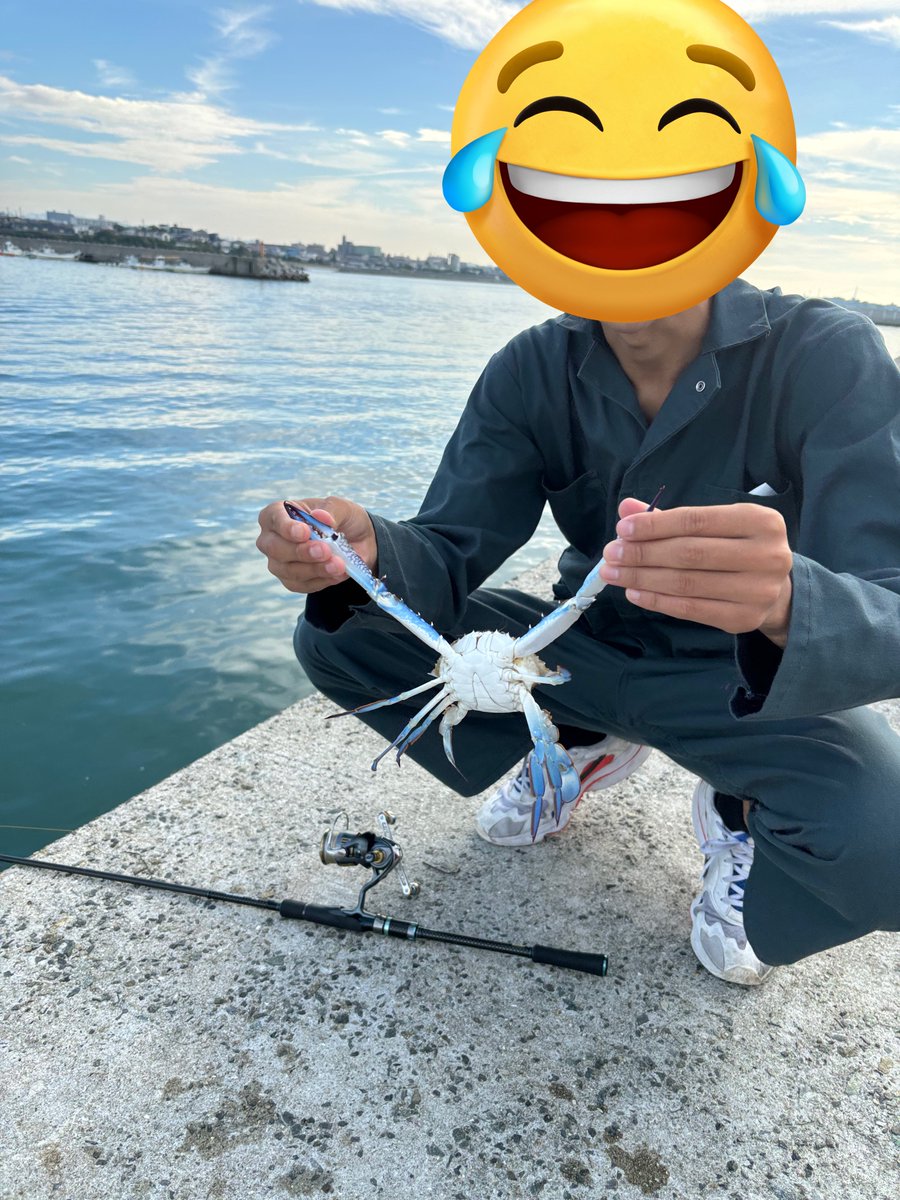 🌾たいちょー🌾 tweet media