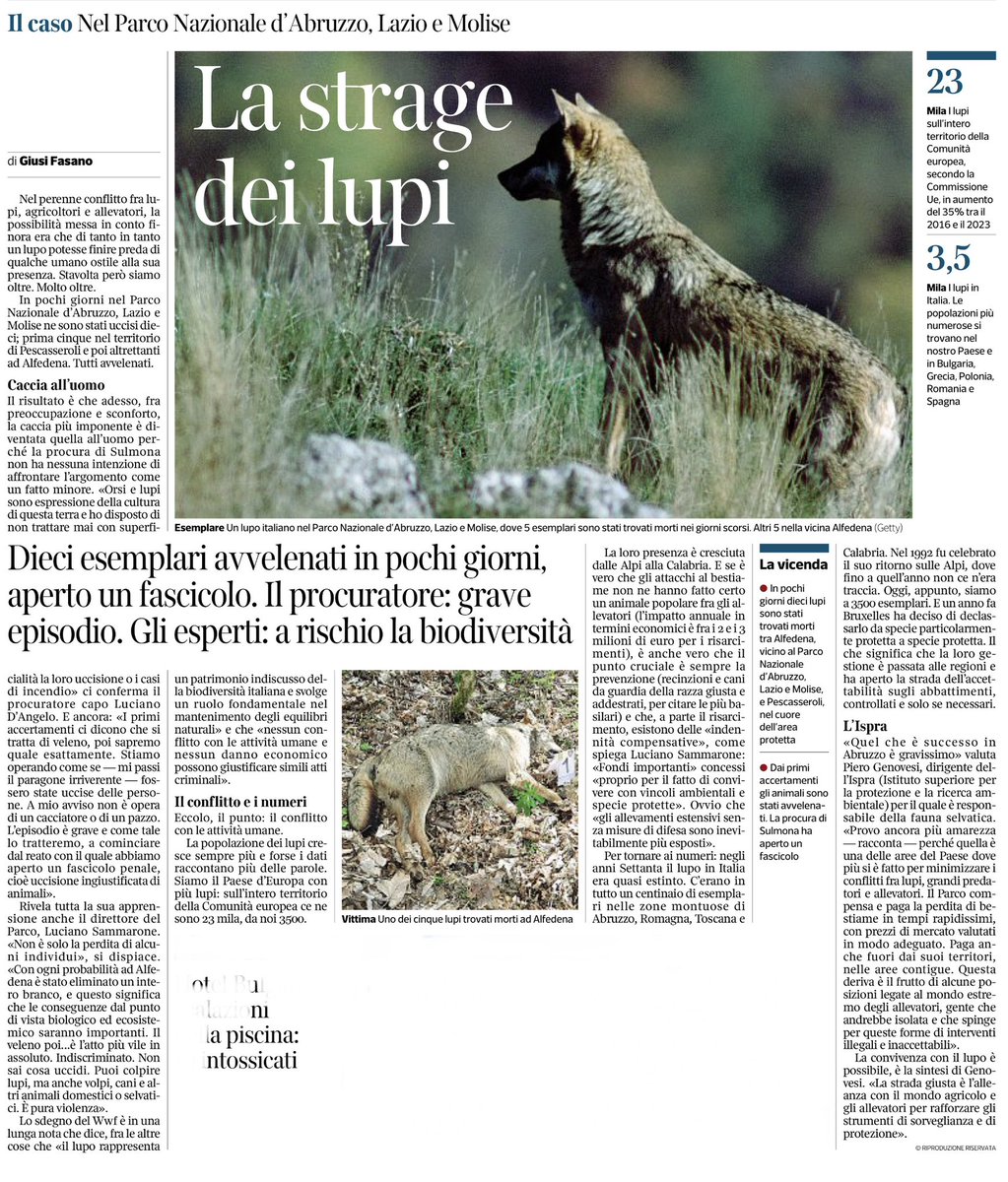 Franco Maria Fontana tweet media