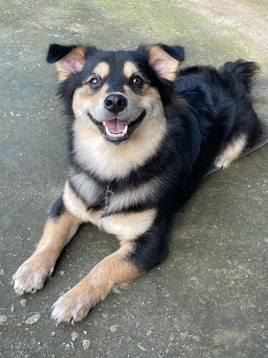 ☃️Nooniiz•ヌン•눈❄️ tweet media