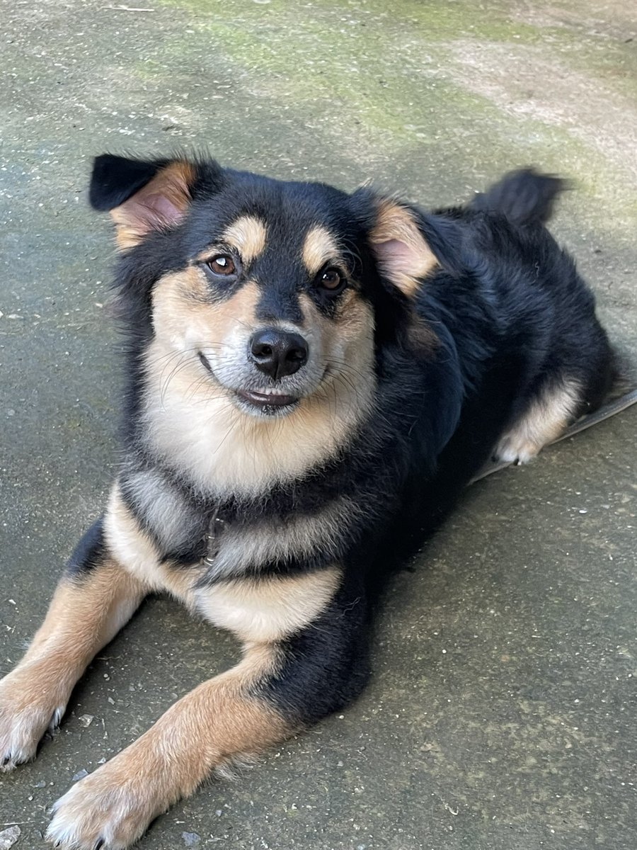 ☃️Nooniiz•ヌン•눈❄️ tweet media