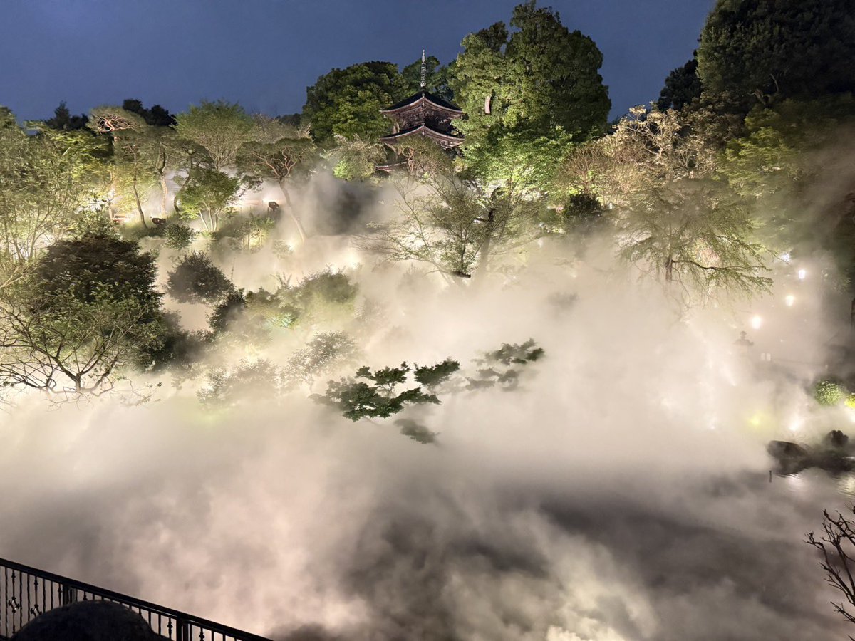 れたまる🐈‍⬛ tweet media