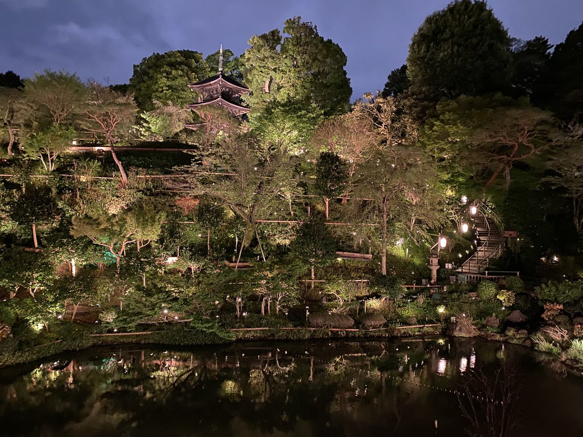 れたまる🐈‍⬛ tweet media