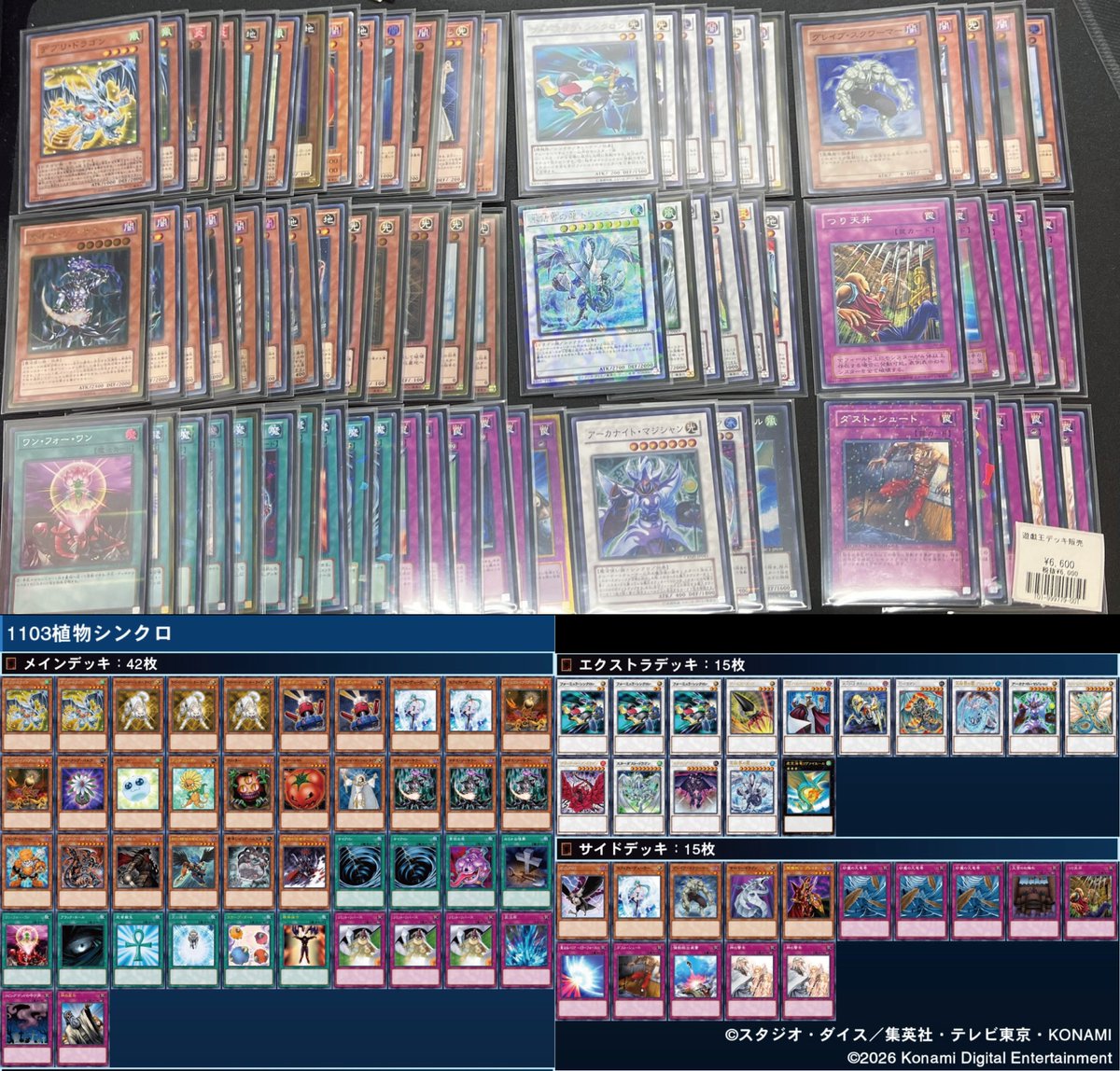 遊戯王【巳剣ライゼオル】デッキ スリーブ＆サイドデッキ付A | ヤマダ