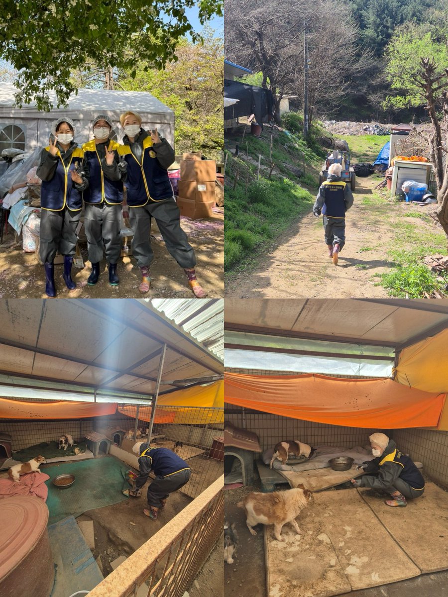 장근석 공식팬클럽 크리제이 봉사활동 관련 이미지