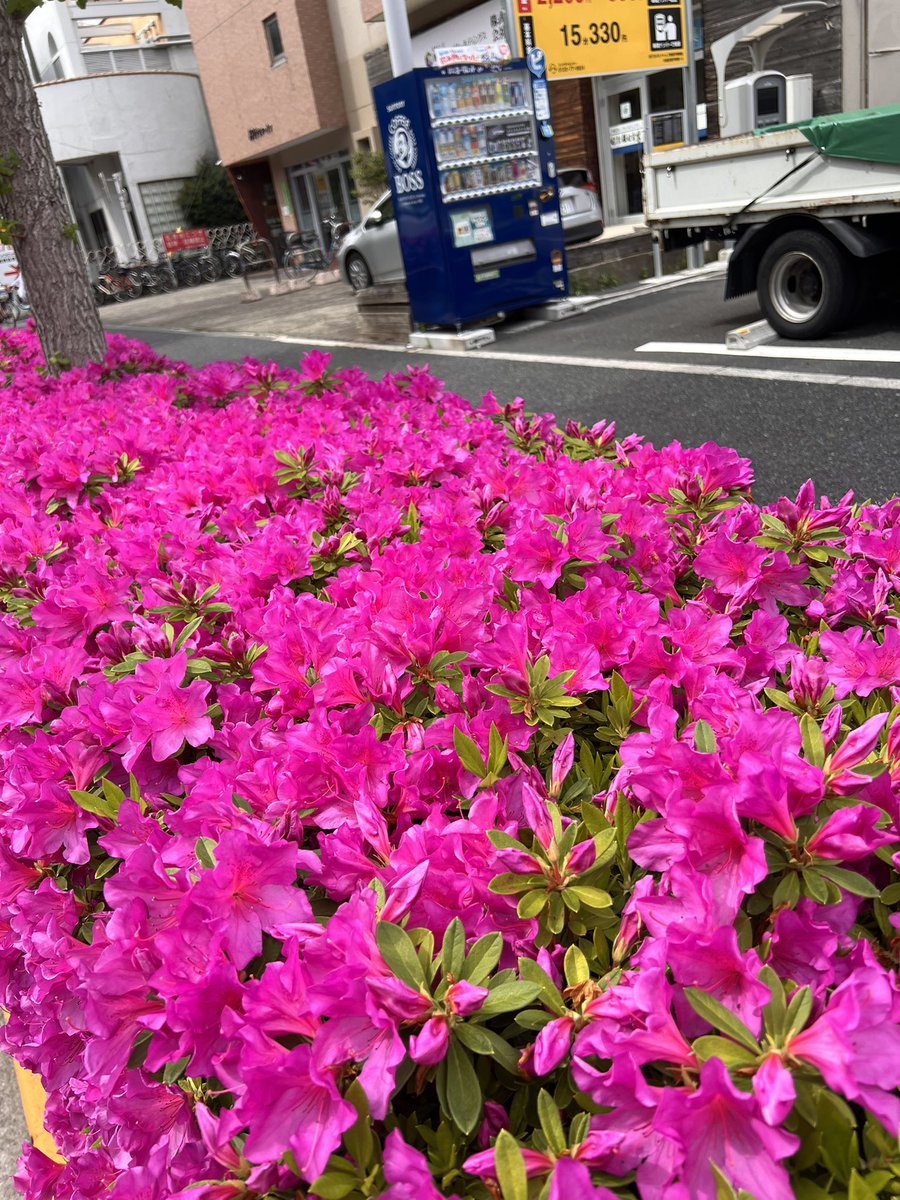 ちょーえいいちろー tweet media