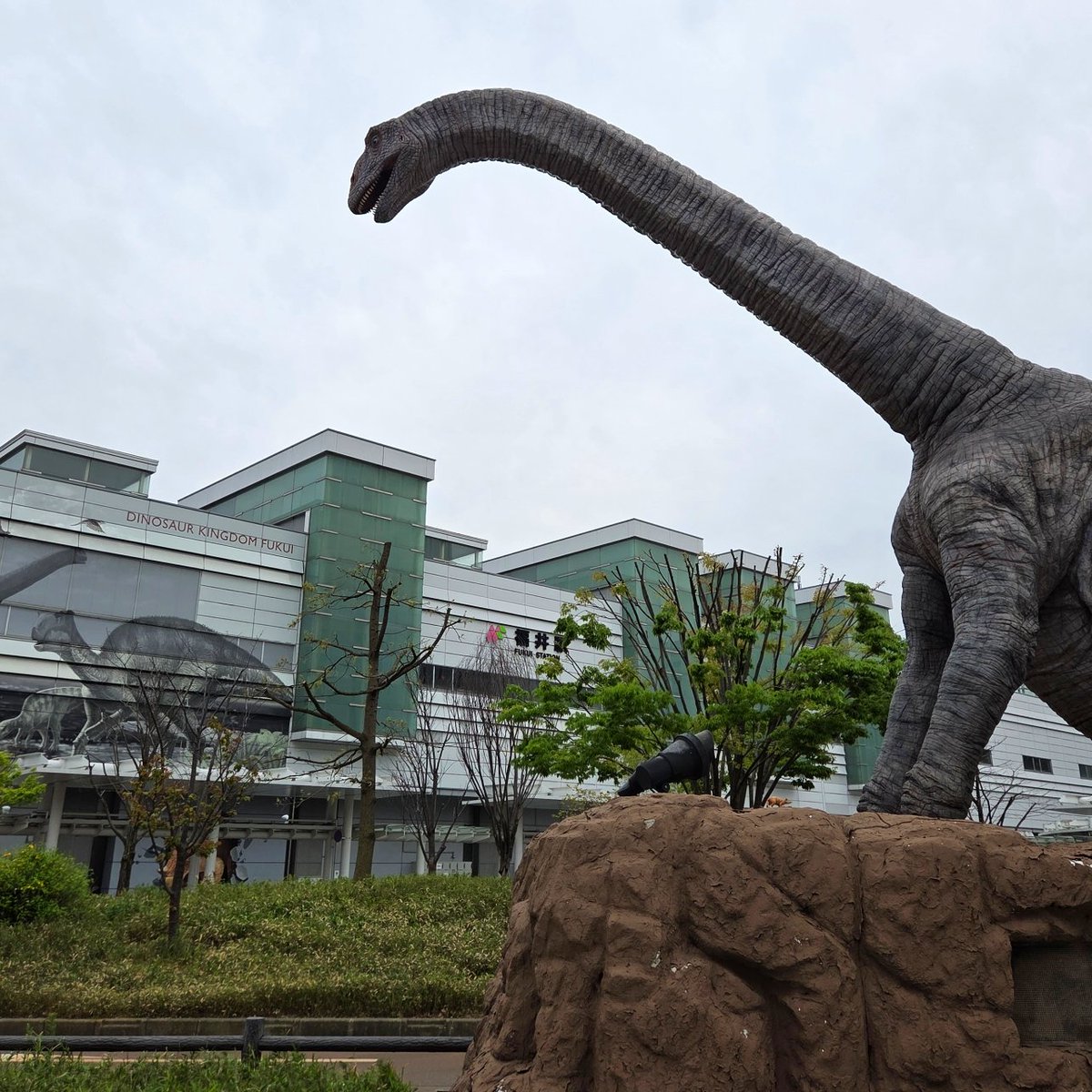 昨日から来ている
薄手ニットを着てきたせいで本日はお日柄もよく死にそう