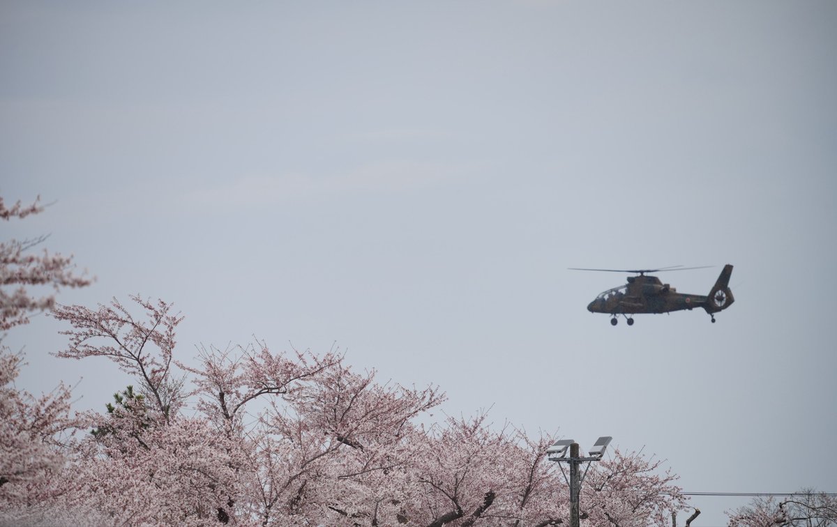 かりぶち ひかり tweet media