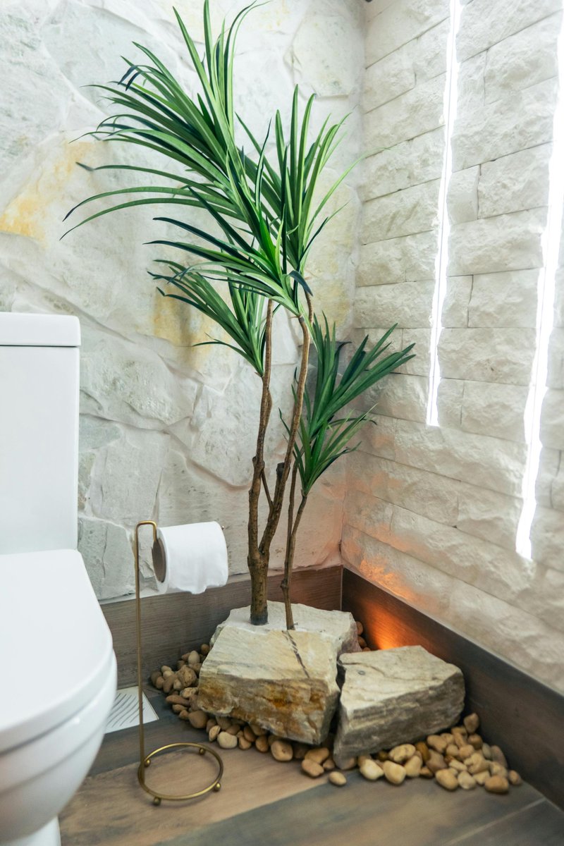 ogdecorco's tweet image. Give your bathroom a fresh, stylish upgrade with essentials you’ll love.

Shop now 👉 ogdecor.com

#BathroomSupplies #HomeEssentials #BathroomDecor #UpgradeYourSpace #ModernLiving #HomeStyle #DecorInspo #BathroomGoals #ShopOnline #FreshBathroom