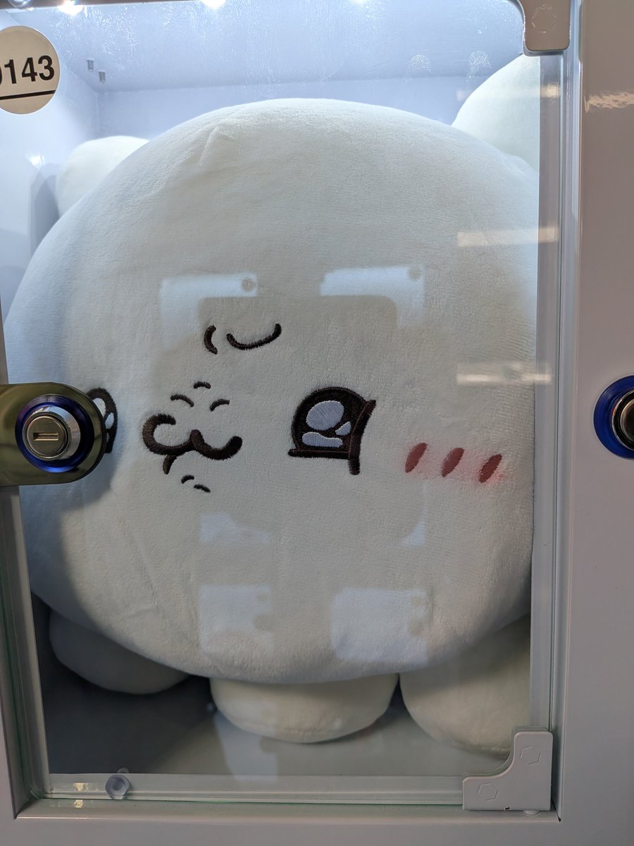 蒼四 tweet media