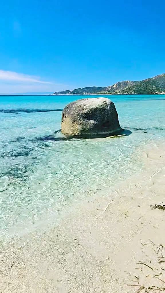 Tranquillo tweet media