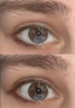 𓉸 󠁕 ‎ ˓ 󠁕 ‎ 𝔖𝖤𝖤𝖪‎ ‎ ╱ 󠁕 ‎𝔇𝖤𝖲𝖳𝖱𝖮𝖸. tweet media