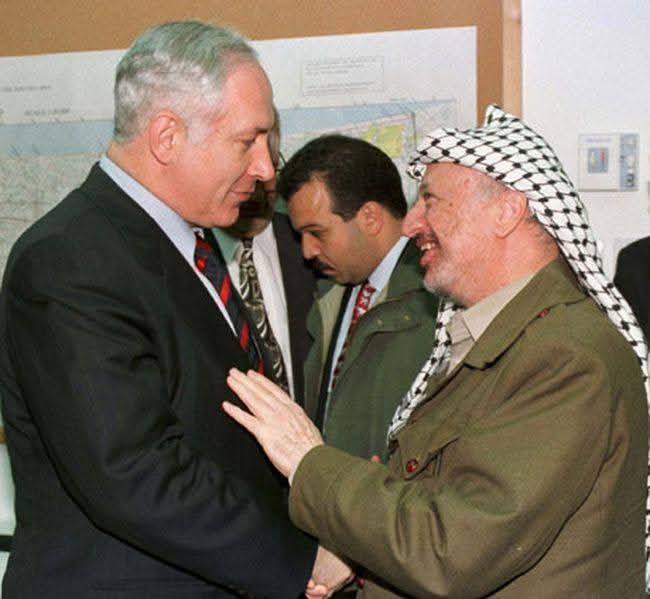 🇮🇱 Romi 🐬 tweet media