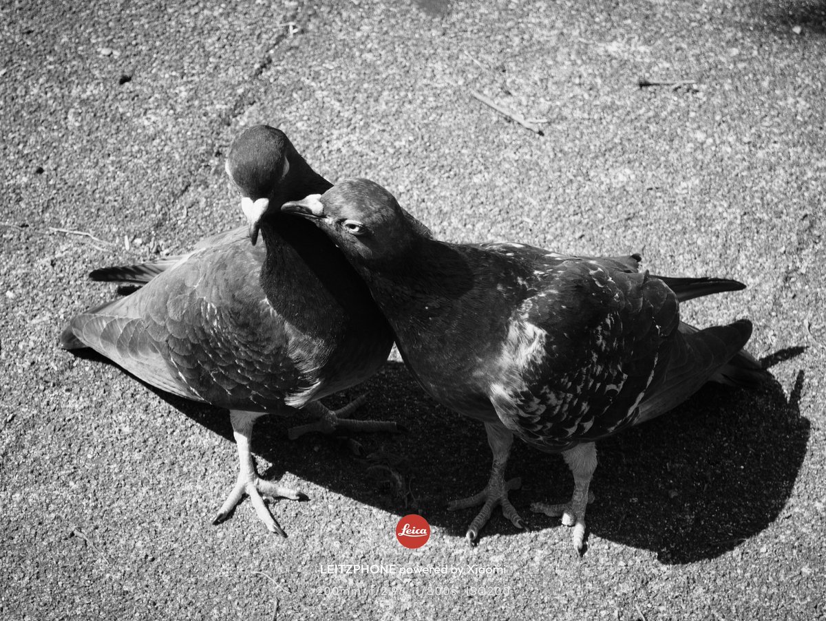 そーすけ/りんご通信 tweet media