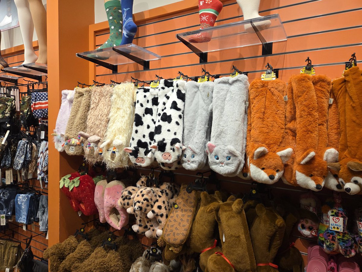 BunnyestOfBuns (Bunny Silver) tweet media