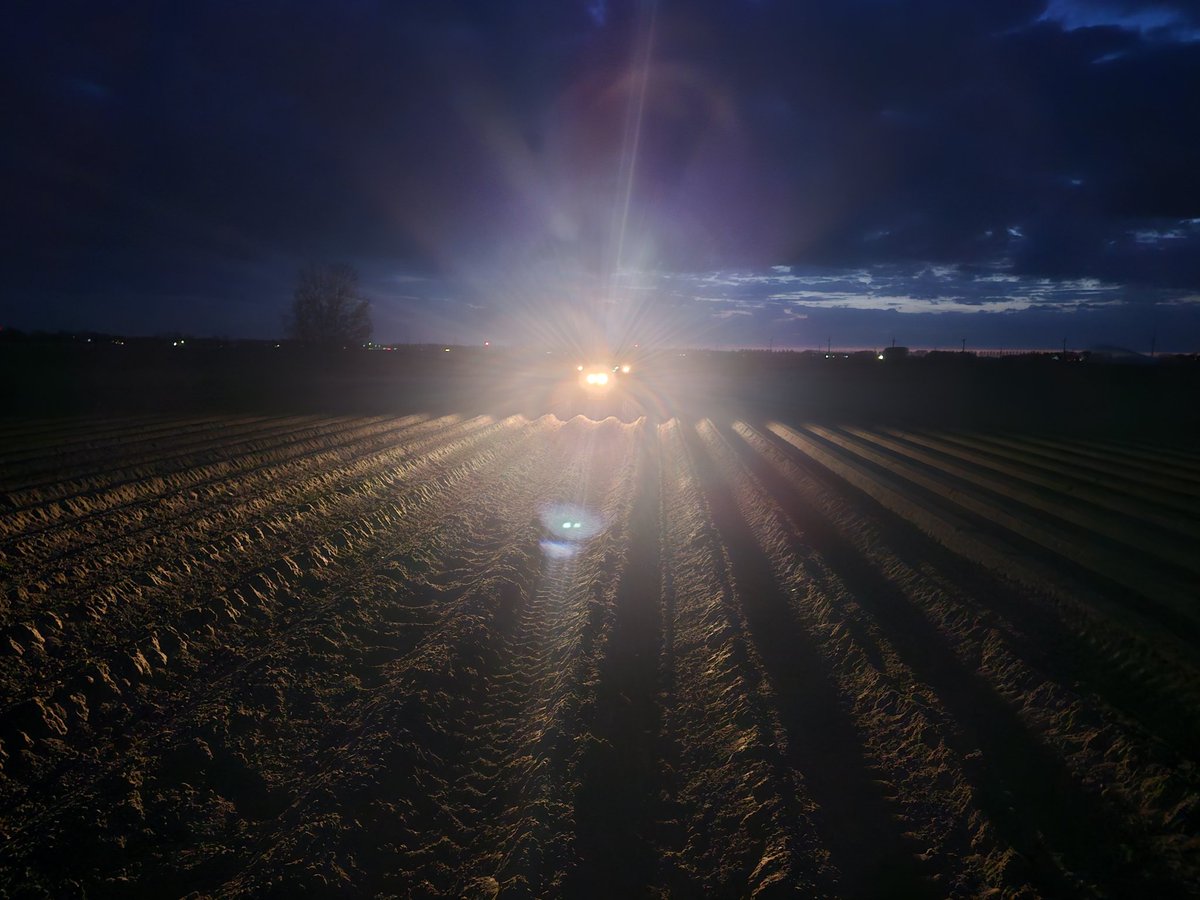 GeersingPotato's tweet image. 't zit er in. #aardappel #poten