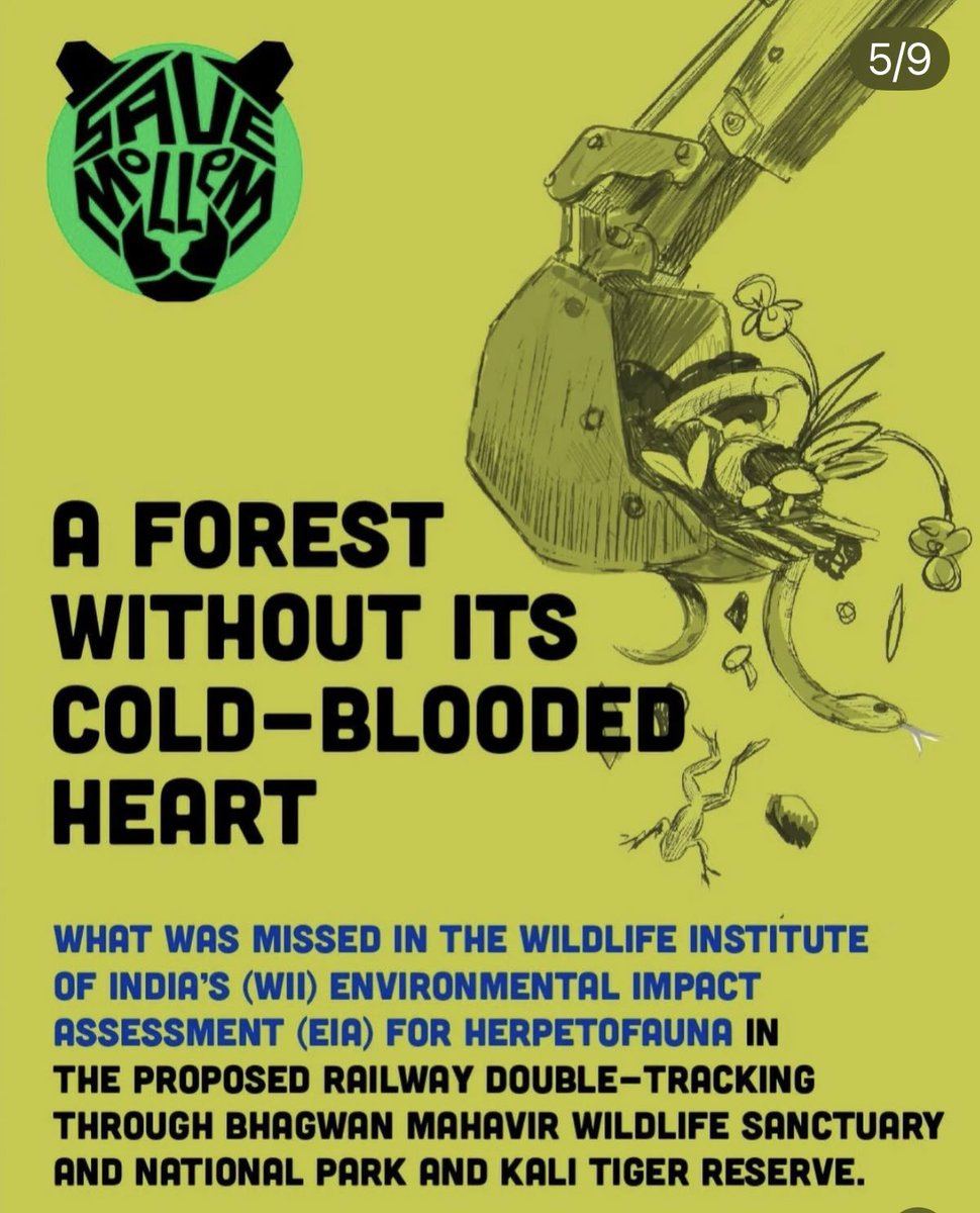 IndWildlifeNews's tweet photo. 🌿 India’s Regional Empowered Committee has flagged the WII’s Environmental Impact Assessment for the Mollem railway project as inadequate — a significant development in the long-running #SaveMollem campaign.
The REC has directed the EIA go before the SBWL/NBWL before any further consideration.
Full story 👇
https://t.co/mYdMz8nMtd
#SaveMollem #AmcheMollem #WesternGhats #Goa #MoEFCC #WildlifeInstituteofIndia