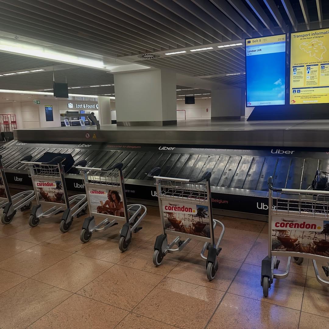 WONHO GLOBAL tweet media