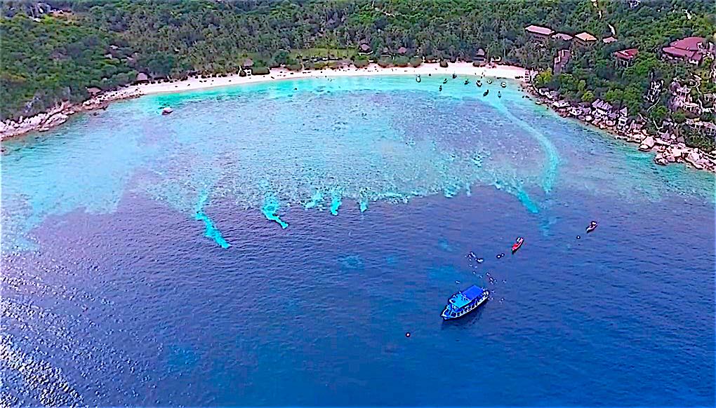 The Funky Turtle® tweet media