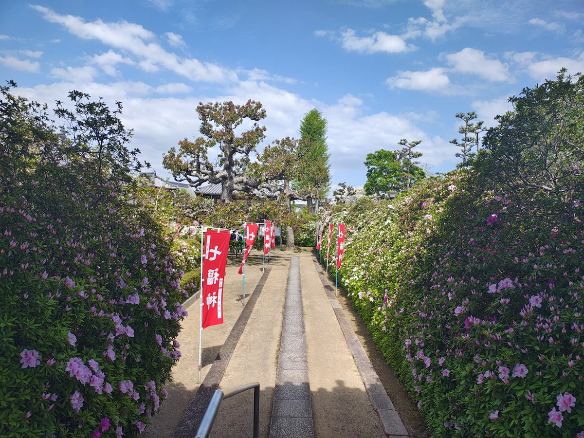 ざんざるぶ tweet media