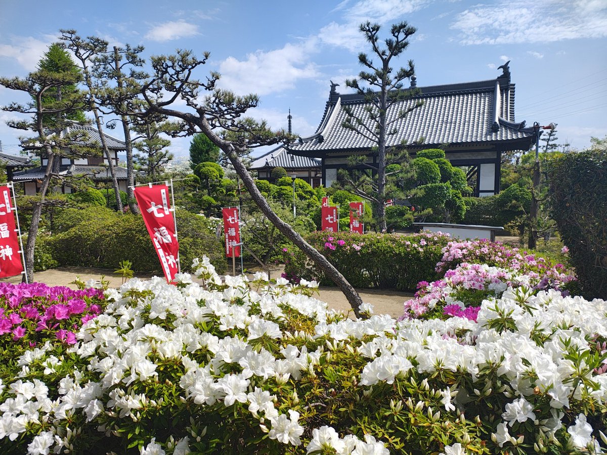 ざんざるぶ tweet media