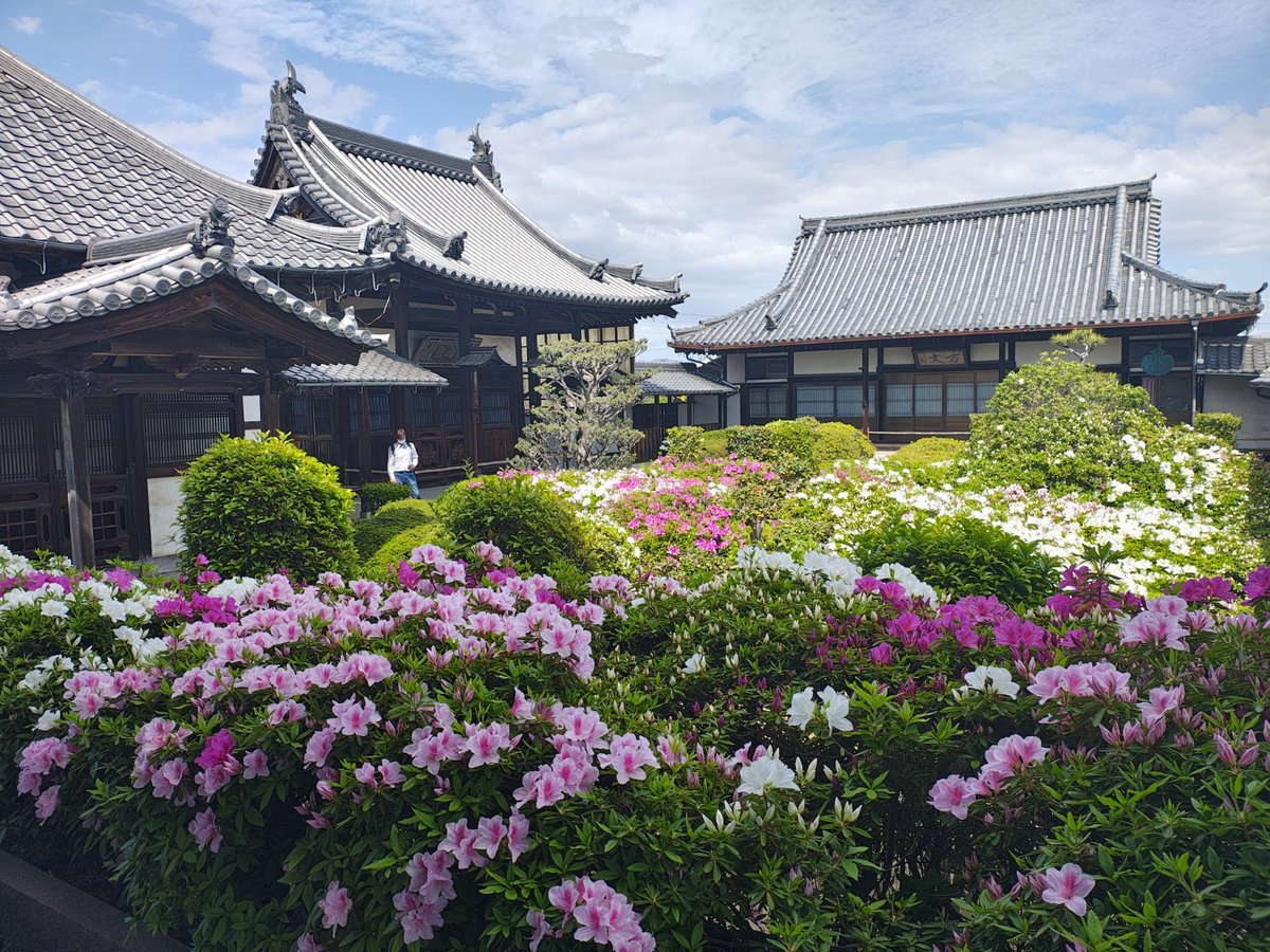 ざんざるぶ tweet media