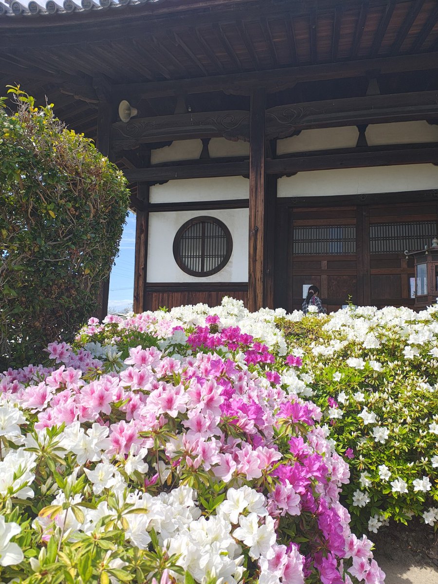 ざんざるぶ tweet media