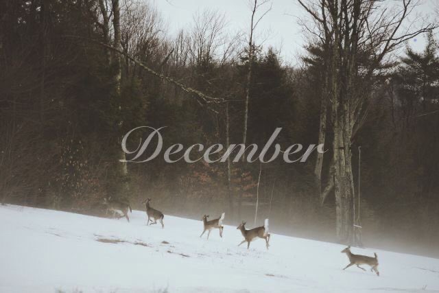 ℓᥱℓყᥲ tweet media