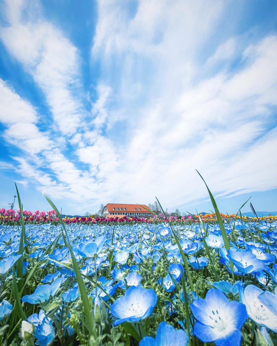 しがトコ：滋賀のええトコ tweet media