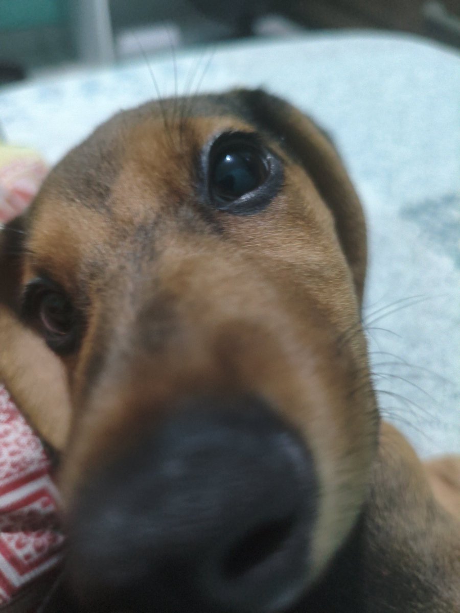 Mizuki 🦴 tweet media