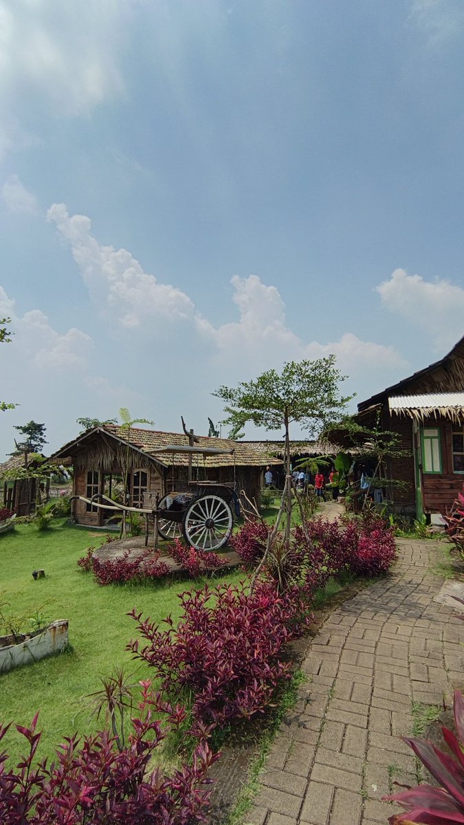 Noi 🌻 tweet media