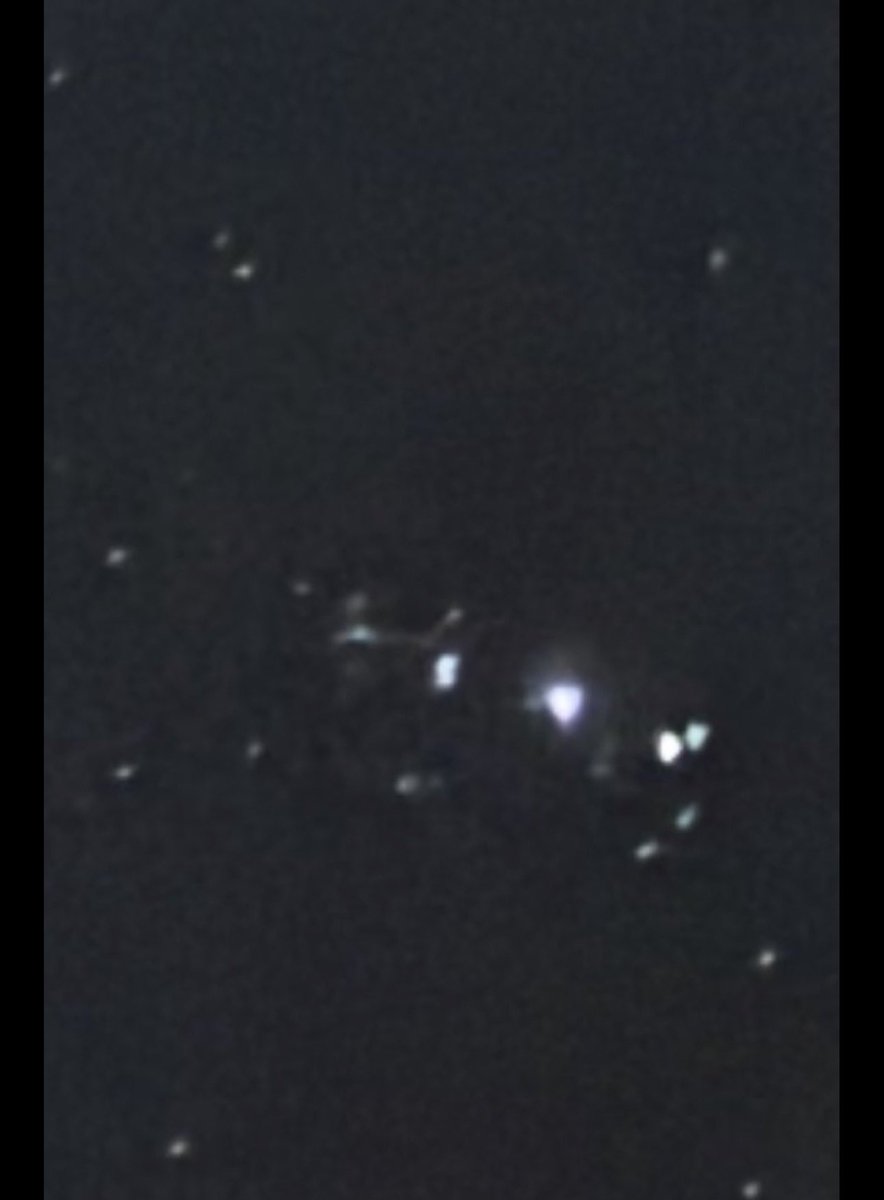 Gina Castello tweet media