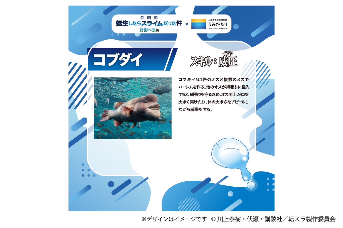 上越市立水族博物館 うみがたり tweet media