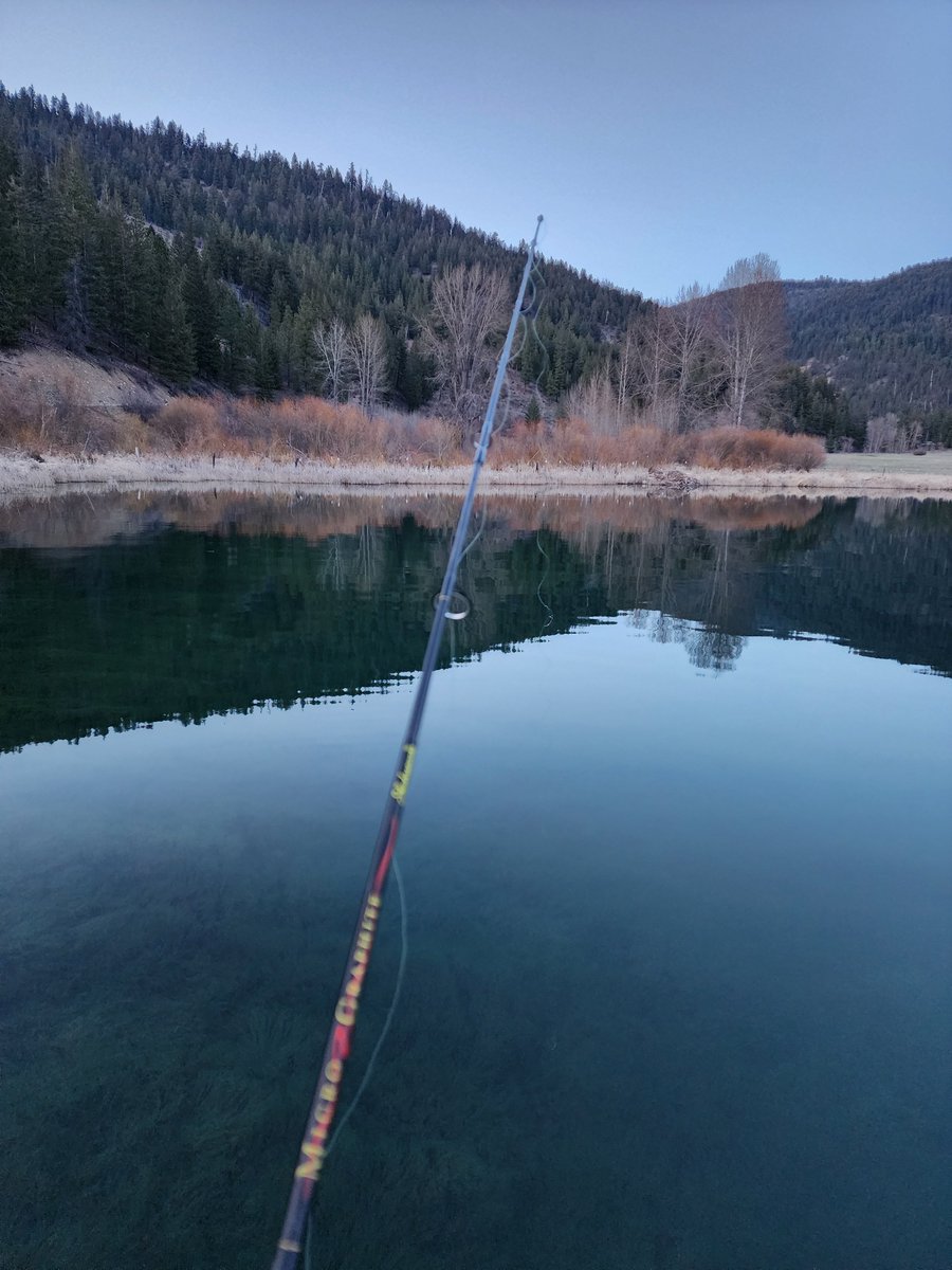 AliciaAmarilyn's tweet photo. Took runt fishing and hiking at the lake🐑 https://t.co/ga5784r7Ee