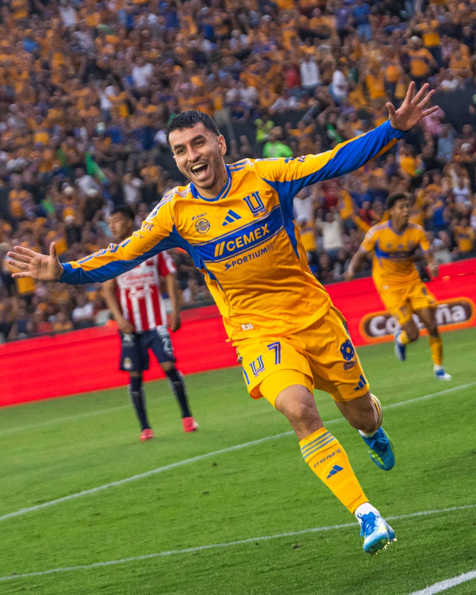 Club Tigres 🐯 tweet media