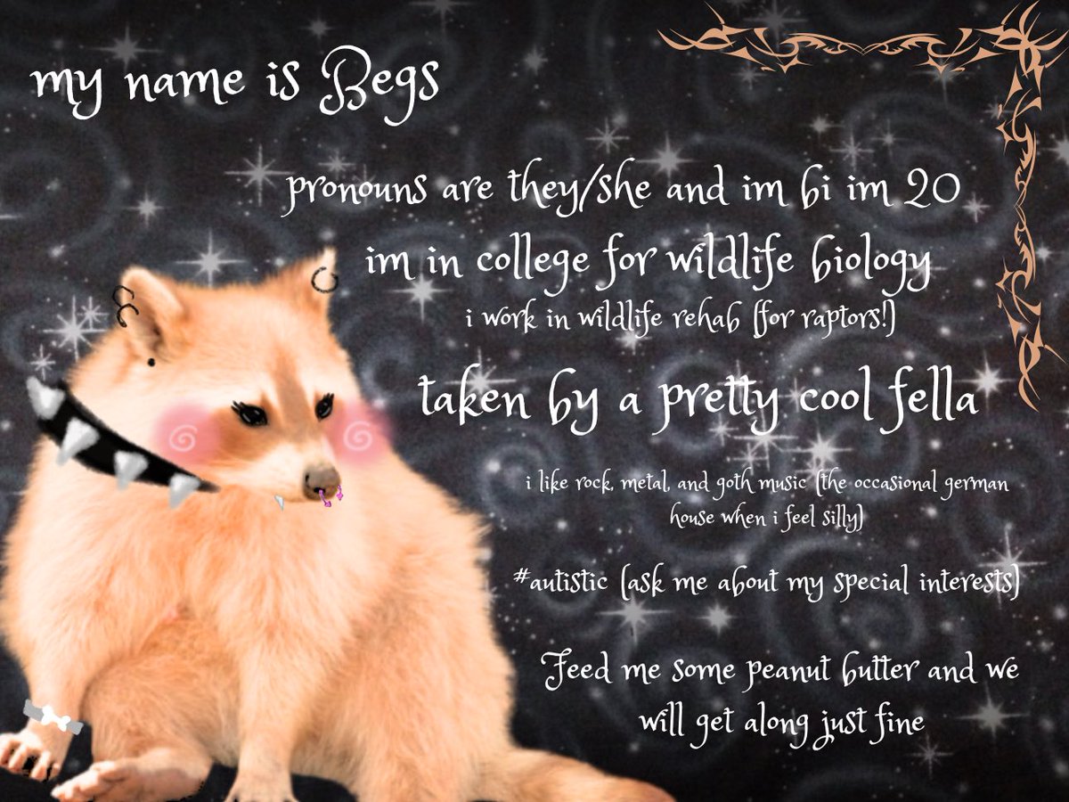 🐾Begs🐾 tweet media
