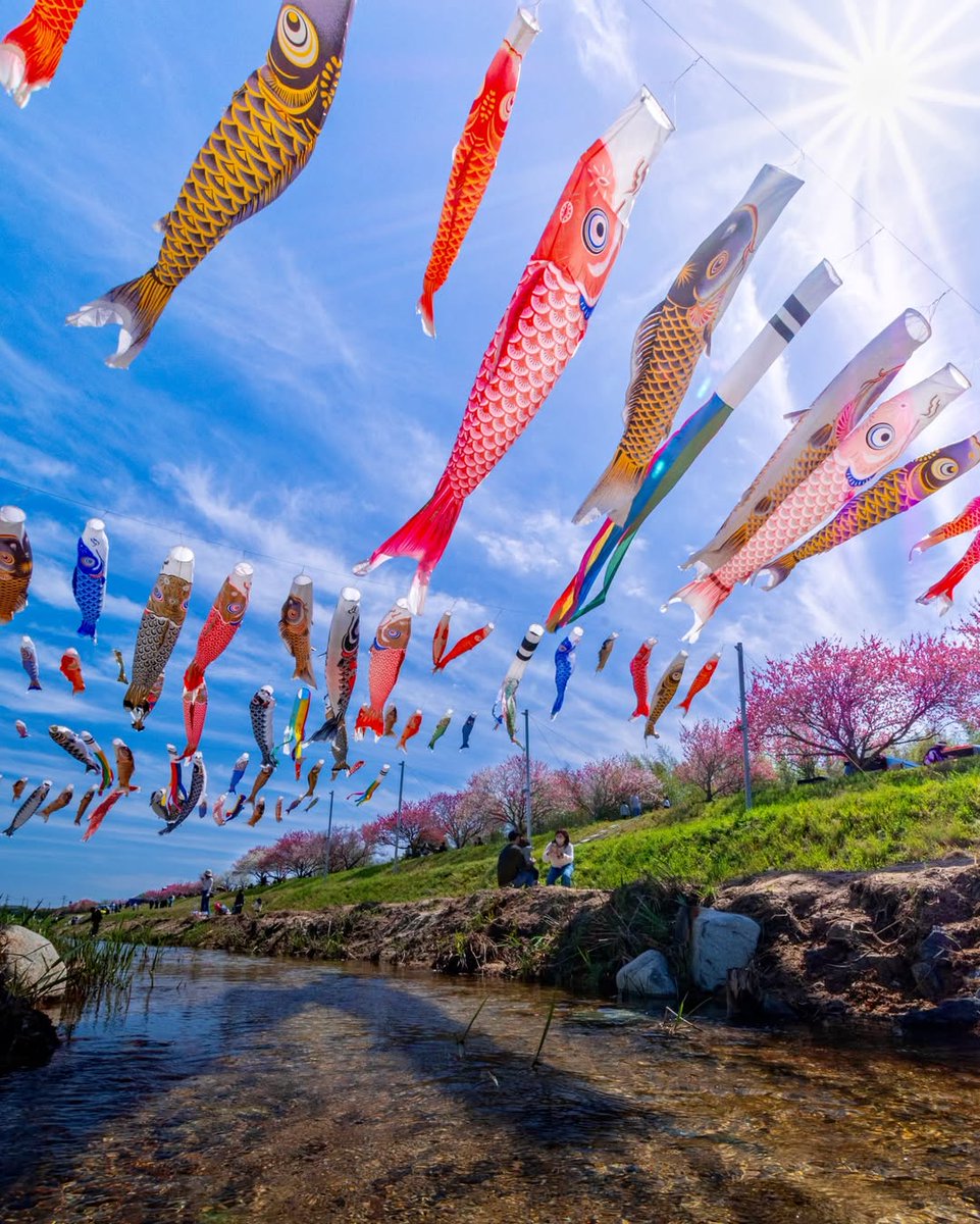 しがトコ：滋賀のええトコ tweet media