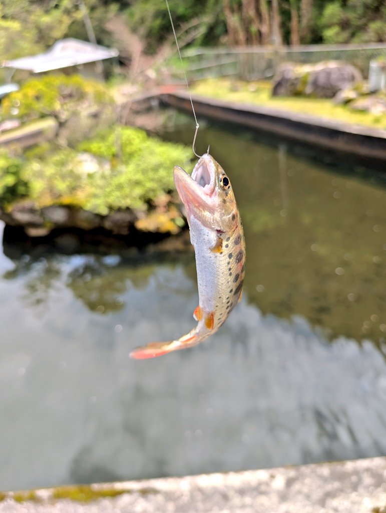 ビックシティAOI tweet media