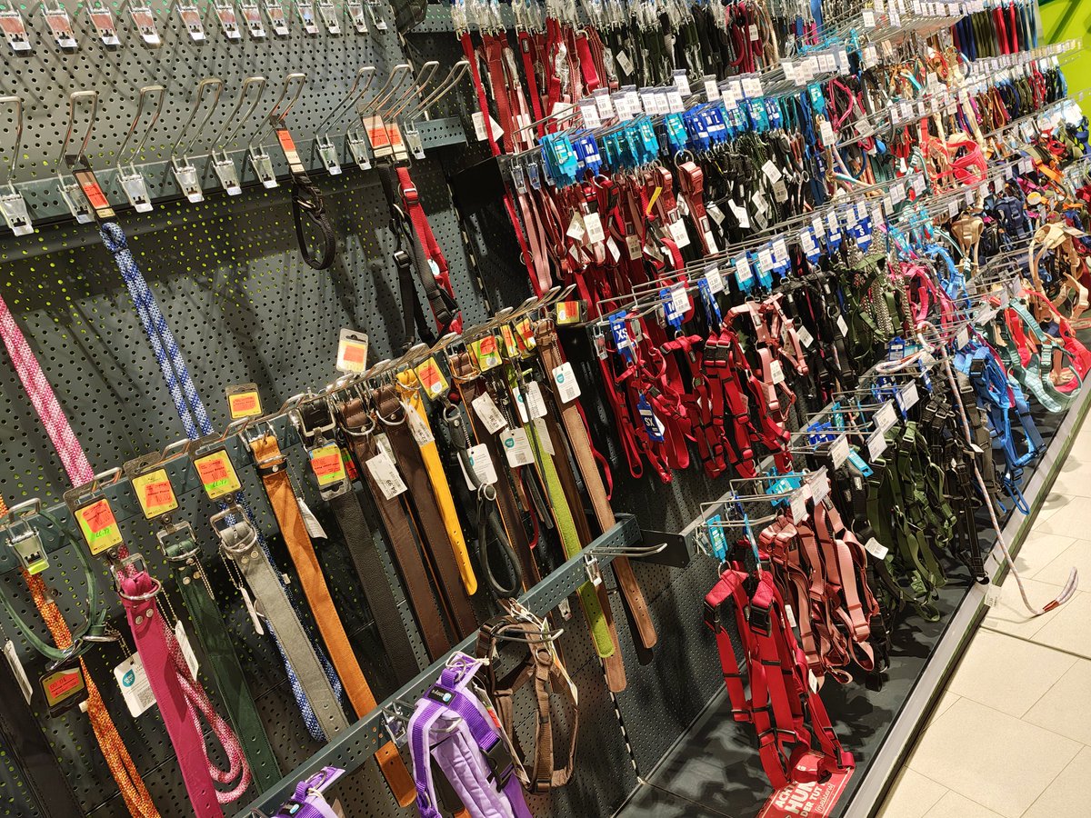 Noml_Fox's tweet photo. Clerk: "So... What kind of dog do you have?"

Me: "What dog?" https://t.co/xw2xJZT69I